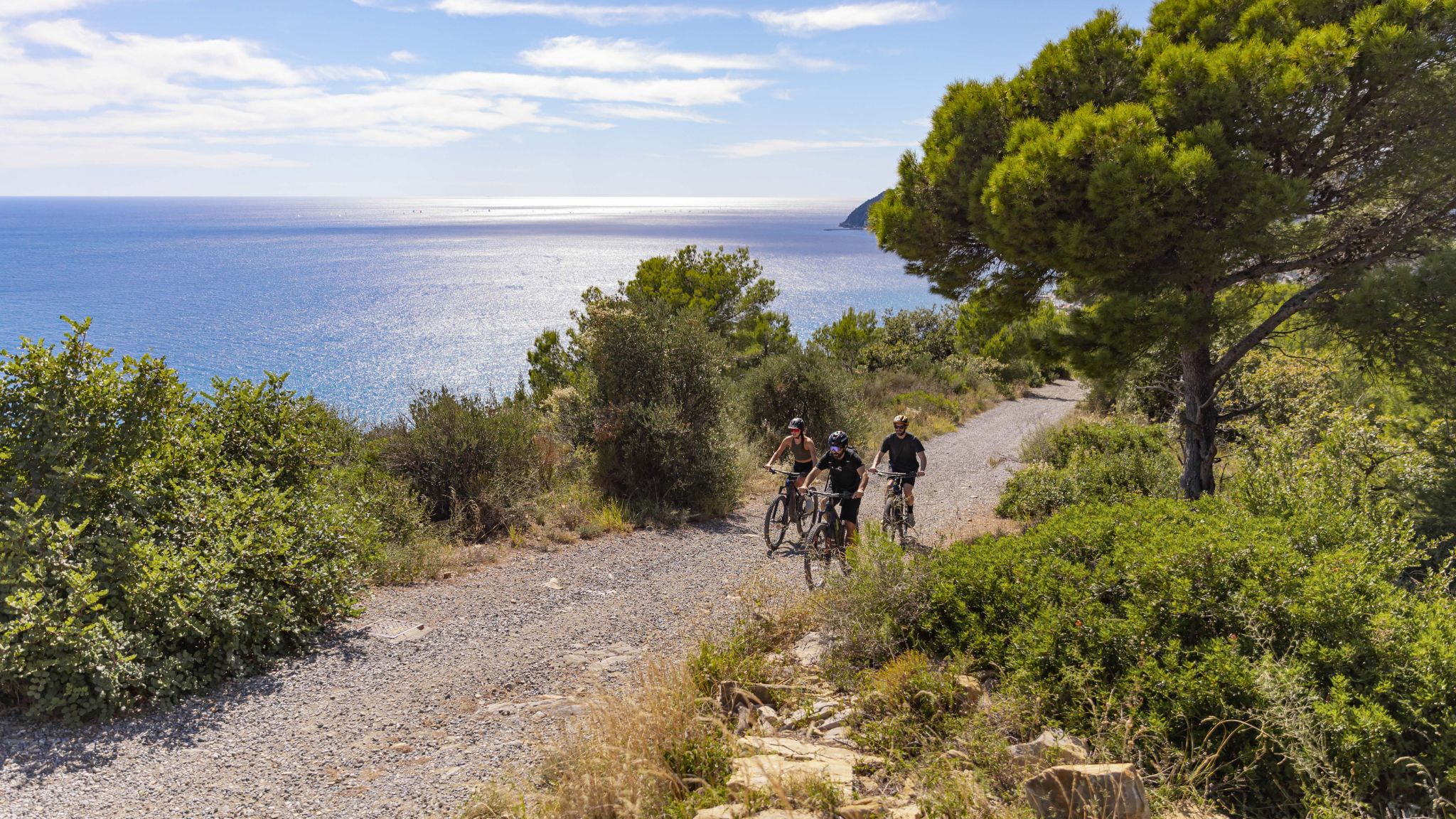 12_16_02_2026_10_48_03