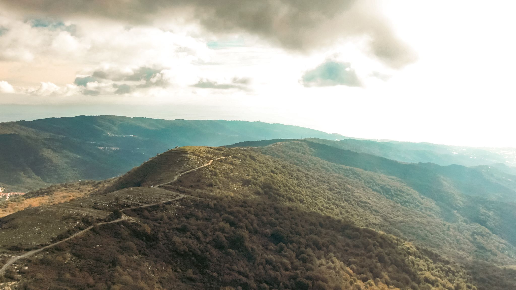 1_16_02_2026_10_47_37