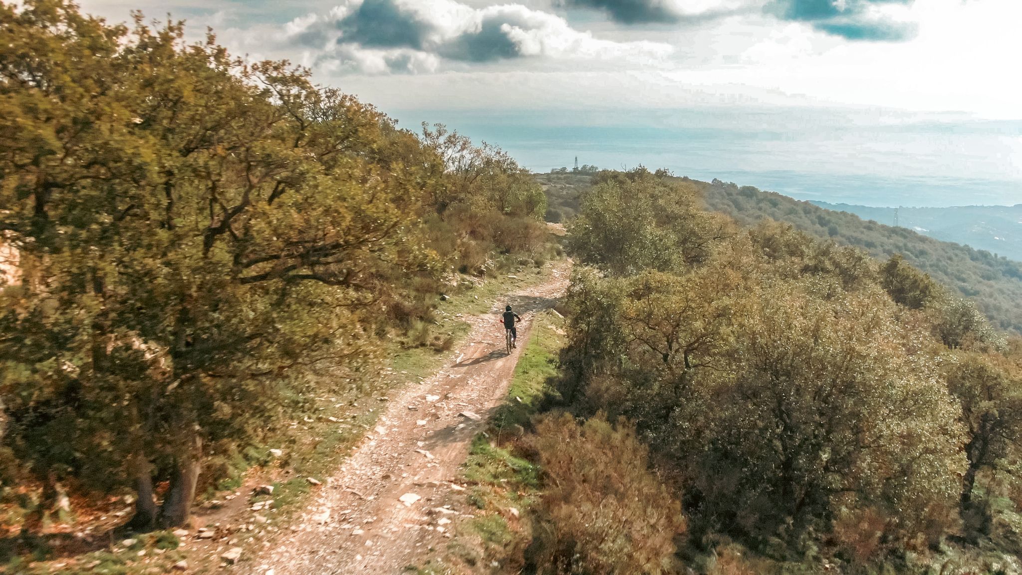 3_16_02_2026_10_47_43